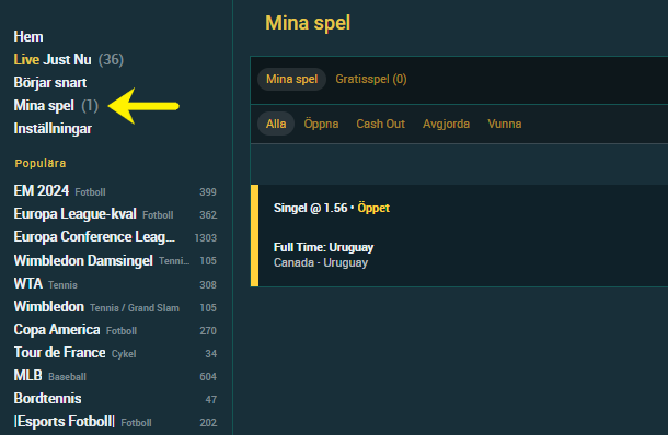 Mina spel pc - NAC.png